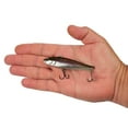 thumbnail image 4 of Berkley Ripfish, 9, Wakasagi, 4 of 5