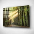 thumbnail image 2 of Epic Art 'Rayzor Light' by Martin Podt, Acrylic Glass Wall Art, 16"x12", 2 of 3