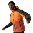 thumbnail image 3 of Regatta Mens Dalent Hooded Insulated Jacket, 3 of 5