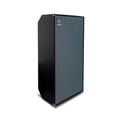 thumbnail image 4 of Gabinete de Bajo AMPEG SVT810AV Negro, 4 of 4