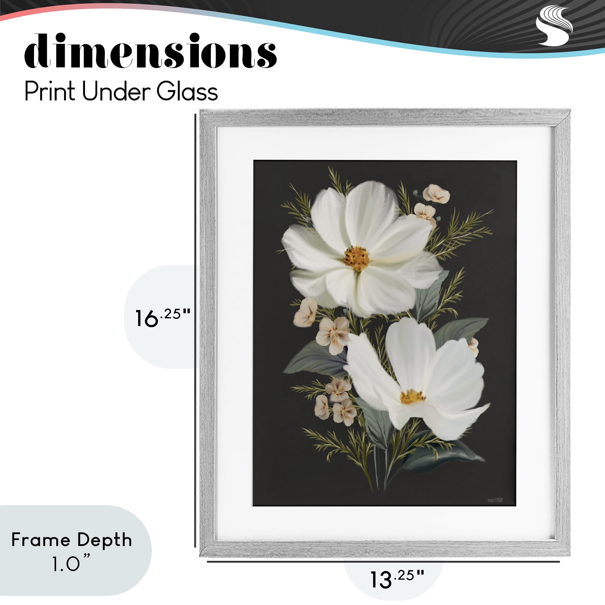 Stupell Industries Old Lace Cosmos Gray Framed Print Under Glass, design by House Fenway
