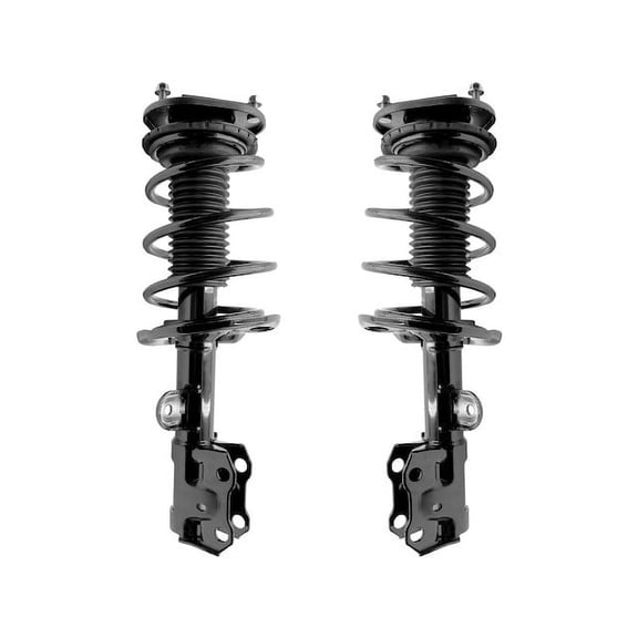 Front Strut Assembly Kit - Compatible with 2014 - 2017 CT200h 2015 2016