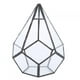 thumbnail image 1 of Alupre Forma geométrica Elegante Maceta de Cristal Planta plantador Plantas suculentas decoración envase, 1 of 9