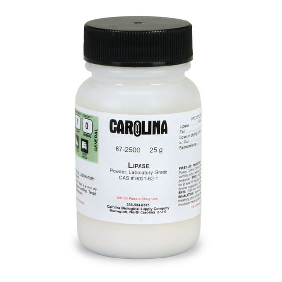 Pancreatic Lipase, Laboratory Grade, 25 G,