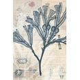 thumbnail image 2 of Vision Studio 11x14 Gold Ornate Wood Framed with Double Matting Museum Art Print Titled - Seaweed Arrangement III, 2 of 4