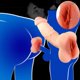 thumbnail image 4 of ELL Realista Pene Polla Mujeres Masturbación Consolador Punto G Clítoris Masajeador Juguete Sexual, 4 of 4