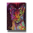thumbnail image 1 of Epic Graffiti 'Abyssinian' by Dean Russo, Giclee Canvas Wall Art, 18"x26", 1 of 8