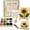 Sea Glass Art Kit - Sunflower, variant on Sea Glass Art Kit, DIY Sea Glass Mosaic Art Kit, Ocean-Themed Seaglass Craft Kit with Colorful Glass Pieces, Beautiful Ocean-Inspired Artwork, Coastal Home Decor Creative Handmade Gift (Dolphin)