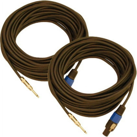 Seismic Audio (2)  50' Foot Speakon to 1/4" PA DJ SPEAKER CABLES - SASPT14-50_2Pack