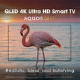 thumbnail image 5 of Sharp 55" Class AQUOS QLED 4K Ultra HD Xumo Smart TV – Quantum Color – Motion Enhancement – Wi-Fi – HDMI Cable + Streaming Bundle + 12 Month CPS Warranty, 5 of 7