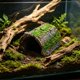 thumbnail image 5 of Cueva de árbol artificial para reptiles con terraza de asoleo y cuevas ocultas para tortugas, lagartos y recintos de reptiles, verde, plástico, múltiples tamaños, 5 of 6