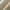 Cream, variant on Mainstays Textured Solid Rod Pocket Curtain, Single Panel, Cream, 38"W x 84"L