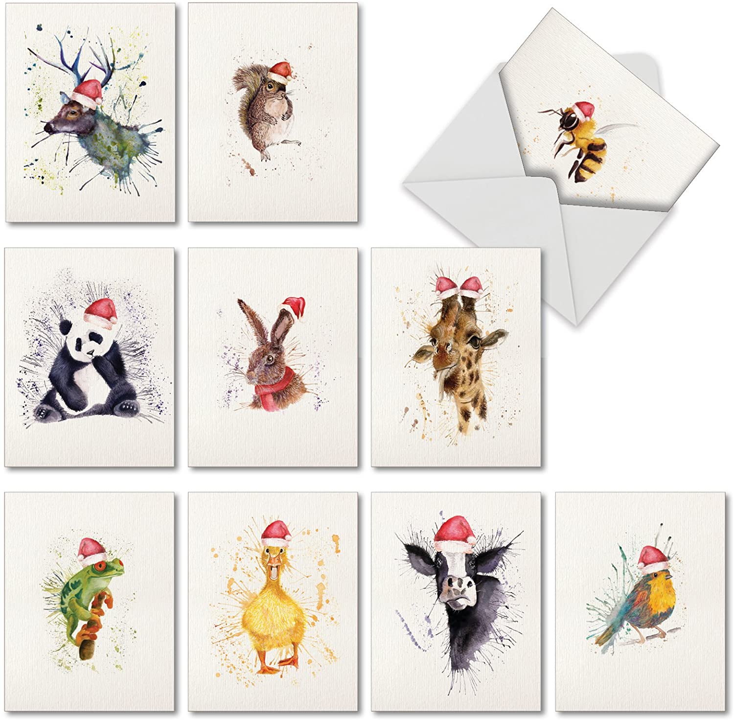 Invitations Jersey Birds \u2013 Set of 5 Greeting Cards w Envelopes \u2013 Blank Inside \u2013 All Occasion Thank You Note Card