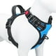 thumbnail image 1 of Arnés para perros PHOEPET, chaleco reflectante ajustable sin tirones, L, azul, 1 of 6