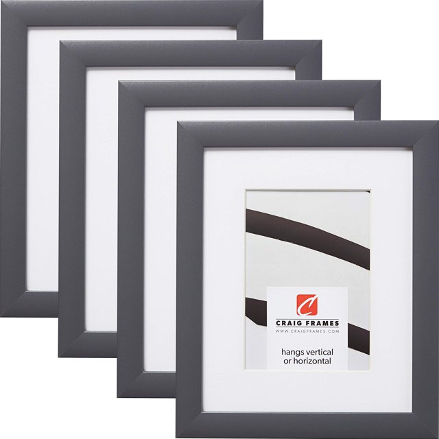 Craig Frames Contemporary, 16 x 24 Inch Grey Picture Frame Matted to Display a 12 x 18 Inch Photo, Set of 4