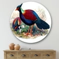 thumbnail image 2 of Designart 'Ancient Birds In The Wild II' Traditional Circle Metal Wall Art 36x36 - Disc of 36, 2 of 5