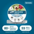 Seresto 8Month Flea & Tick Prevention Collar for Large Dogs 18+ lbs
