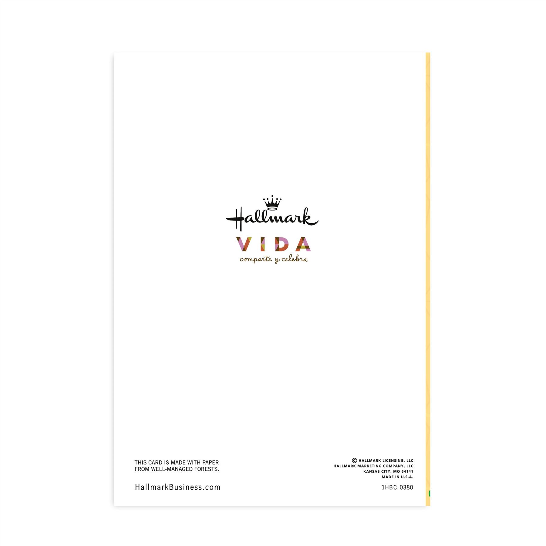 Hallmark Business Bulk Spanish Birthday Cards (Feliz Cumpleaños Party Lights), 25 ct.