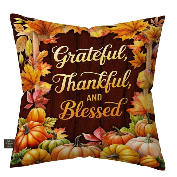 Briarwood Lane Fall Indoor/Outdoor Pillow 17x17 Thankful Blessings For Fall Pillow