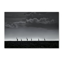 Trademark Fine Art '6 Giraffes' Canvas Art by Greg Metro