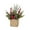 RD1, variant on (Clearance) pdqouc Artificial Christmas Flowers Plant Pot Decorations Xmas Floral Tabletop Centerpiece Arrangement Red & White Peppermint Candy Canes Berries Pine for Desk Shelf Mantle Kitchen