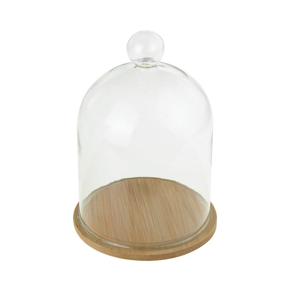 Clear Glass Dome Display with Wooden Base, 6Inch