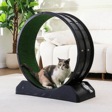 Cat Exercise Wheel, 31.5 Inch Cat Treadmill for Indoor Cats, Cat Running Wheel with Carpeted Runway, Easy to Install & Fitness & Health, Suitable for Most Cats, Plastic Cat Wheel