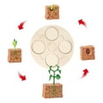 thumbnail image 5 of Plant Life Cycle Of A Growth Stage Model Educational Plant Growth Cycle Toy, 5 of 5