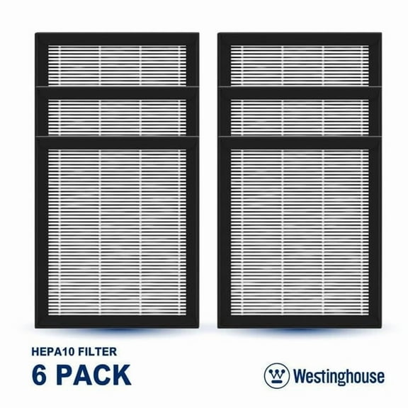 Westinghouse WES-HEPA10x6 HEPA 10x6 WH10P Air Filter
