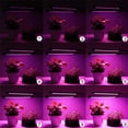 thumbnail image 4 of Lámpara LED para crecimiento de plantas con ajuste de ángulo, temporizador y pinza, 20W, USB, múltiples niveles de luz, longitudes de onda roja y azul., 4 of 6