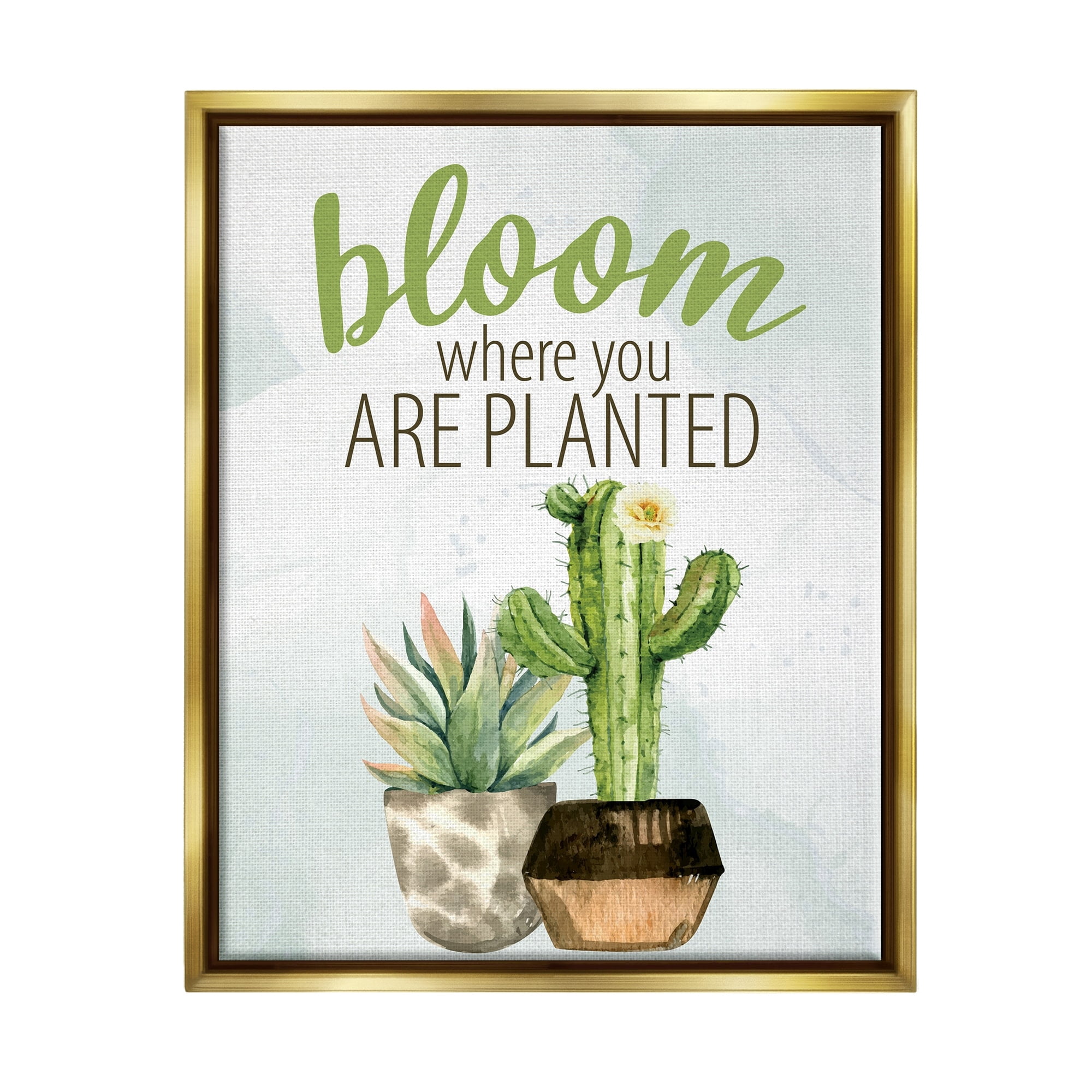 Stupell Industries Bloom Where You Are Planted Cactus Succulent Graphic Art Metallic Gold Floating Framed Canvas Print Wall Art, Design by Kim Allen