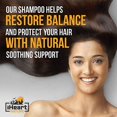 thumbnail image 5 of Juego de peines y cepillos para el cabello, cepillo para el cabello con cerdas de jabalí para cabello rizado, grueso, largo, fino, seco y húmedo, el mejor cepillo para desenredar el cabello con paleta, 5 of 5
