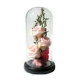 thumbnail image 1 of Flor de jabón LED Caja de cristal rosa luminosa Caja de regalo de novia para el día de San Valentín MFZFUKR BST3003046-2, 1 of 6