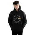 thumbnail image 2 of Pink Floyd Mens Prism Circle Logo Hoodie, 2 of 3