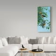 thumbnail image 3 of Trademark Fine Art 'Nesting Orioles' Canvas Art by Wilhelm Goebel, 3 of 3