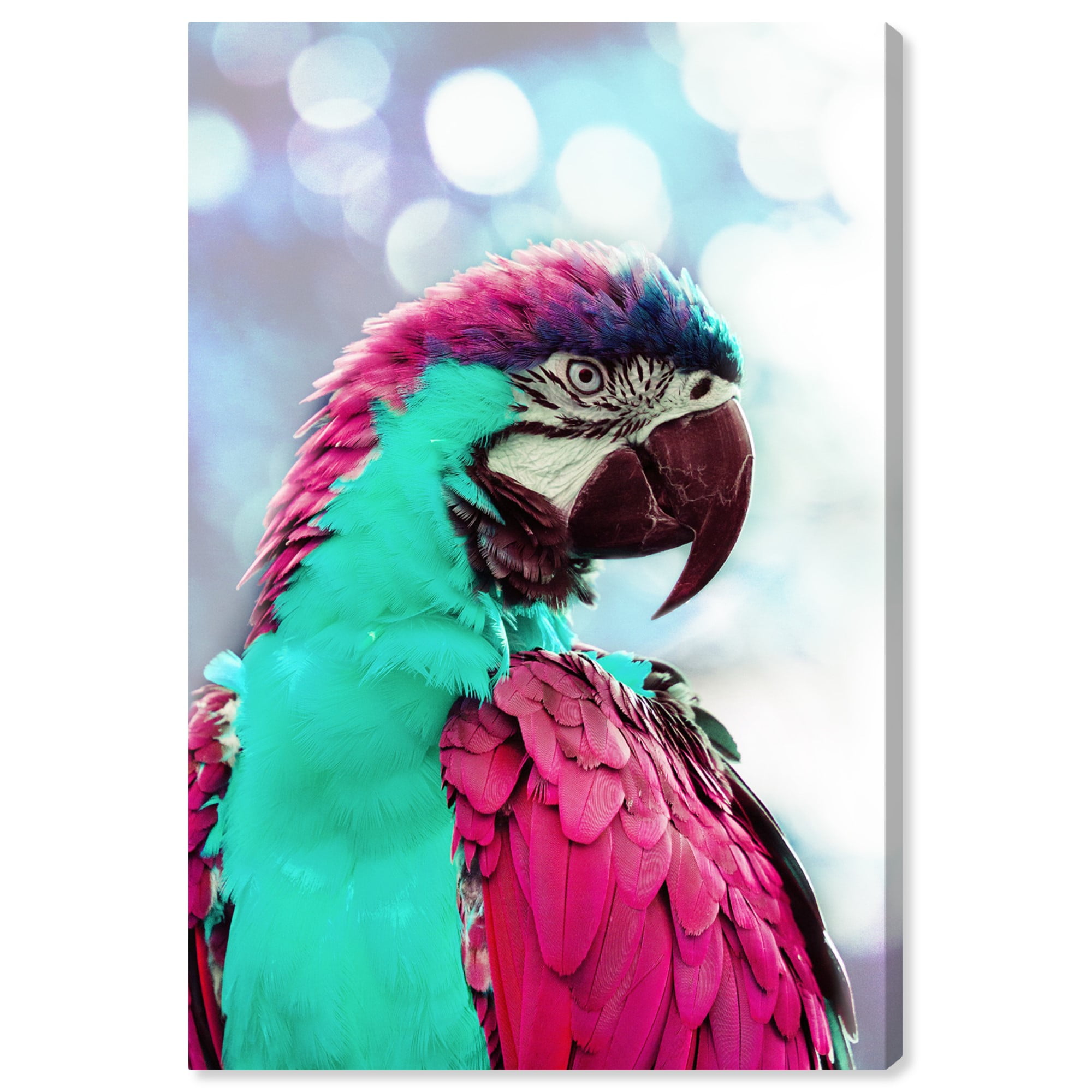 Runway Avenue Animals Wall Art Canvas Prints 'Pink Turquoise Macaw' Birds -  Pink, Pink 
