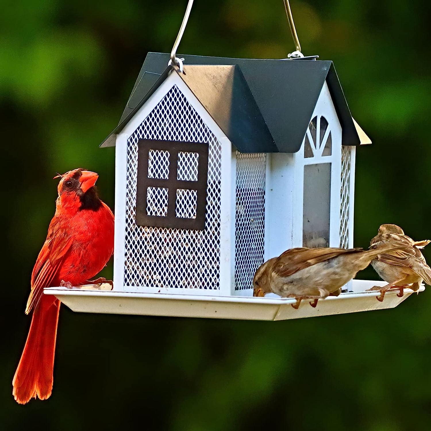 Bird Feeder House for Outside +  Glass Hummingbird Feeder for Outdoors
