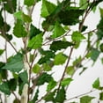 thumbnail image 3 of Nearly Natural 7ft. Artificial Birch Tree with Real Touch Leaves, 3 of 7