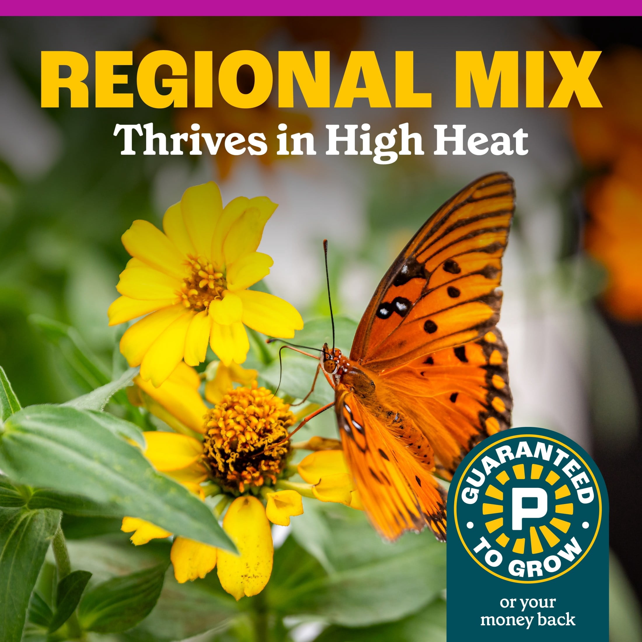 Pennington Wildflower Seed Mix, Southern Region Garden Blend, 32 oz, Annuals and Perennials