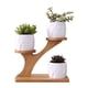 thumbnail image 1 of Cute Owl Pot Succulent Cactus Planter Flowerpot Set With Bamboo Shelf Tray Decor, 1 of 5
