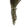 thumbnail image 5 of Vickerman 8-20" Aspen Gold Plumosum, Female, 8 flower heads per bundle, Preserved, 5 of 5