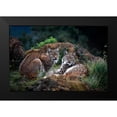 thumbnail image 2 of Barbieri, Gianfranco 24x17 Black Modern Framed Museum Art Print Titled - Moonschein Lovers, 2 of 5