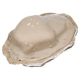 thumbnail image 4 of Fluker's Lagoon for Hermit Crabs, Small, 4 of 8