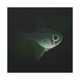 thumbnail image 4 of Neon Tetra Explosion - Canvas, 4 of 25