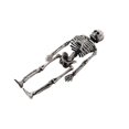 thumbnail image 2 of 2025 Simulated Skeleton Prop Halloween Skeleton Small Human Body Bone Model, 2 of 3