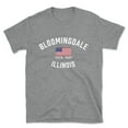 thumbnail image 1 of Bloomingdale Illinois Patriot Men's Cotton T-Shirt, 1 of 1