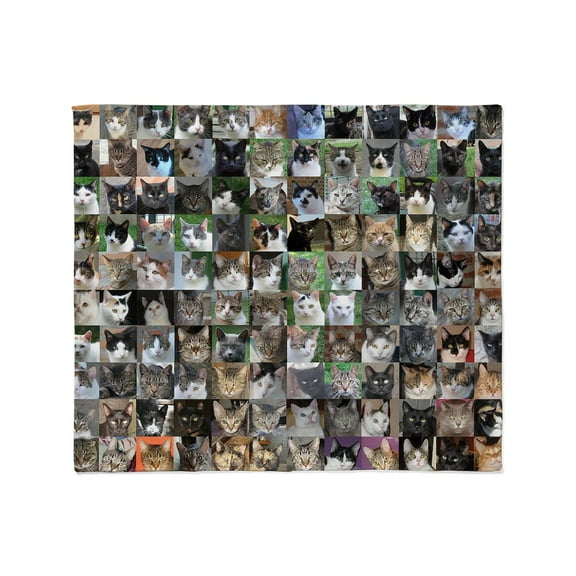 CafePress - Cat Shelter Jessica's Cats Throw Blanket - Soft Fleece Throw Blanket, 50"x60" for All Ages