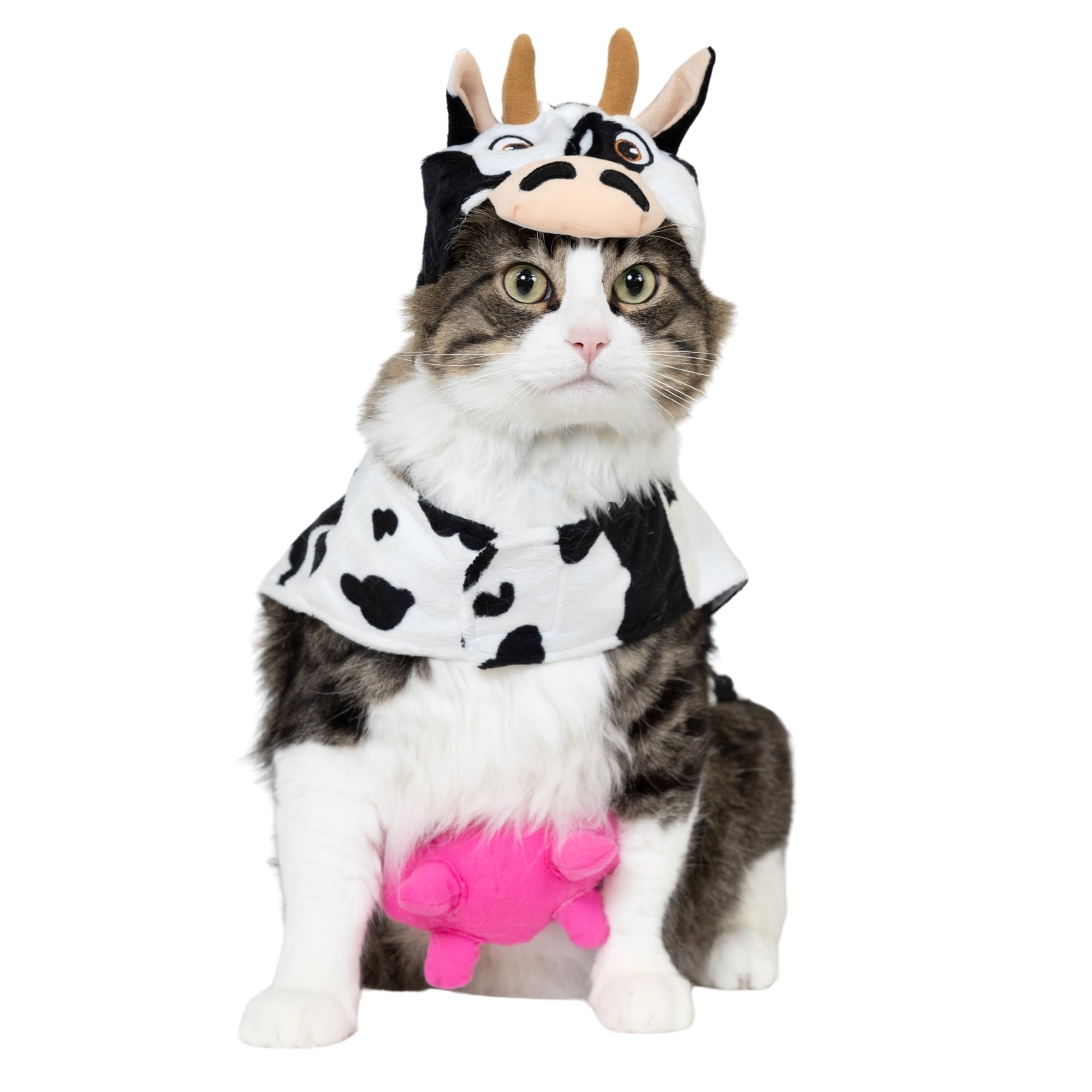Vibrant Life Halloween Costume for Dogs & Cats, Cow, Black & White, Small