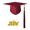 Wine Red, variant on tasrioml Graduation Cap Memorable Eye-catching Fabric Practical Coloful Graduation Hat for Student