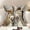 Gray, variant on 18" Funny Dog Decorative Throw Pillow Covers for Living Room, Bed Decor, Patio, Car, Dog Sofa Cushion Cases,Square Pillowcase with Zipper